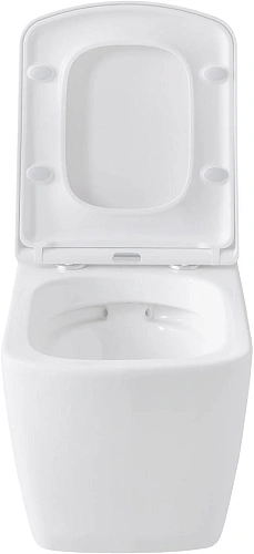 Комплект унитаза Allen Brau Liberty 4.33004.20/8.9466.0.000.000.1 (00316507) с инсталляцией, белый глянец Комплект унитаза Allen Brau Liberty 4.33004.20/8.9466.0.000.000.1 (00316507) с инсталляцией, белый глянец