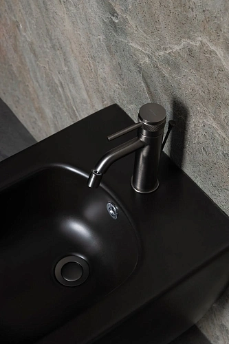 Смеситель для биде Allen Brau Priority 5.31A04-MG (с донным клапаном) графит брашированный Смеситель для биде Allen Brau Priority 5.31A04-MG (с донным клапаном) графит брашированный