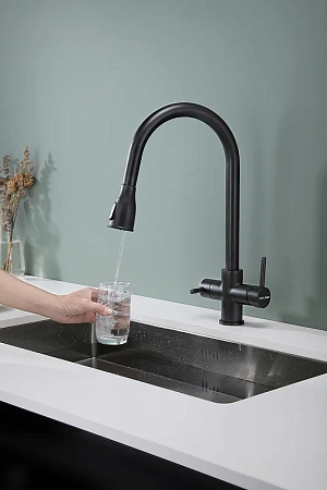 Смеситель для кухни Paulmark LANGE черный La214212-BLM Смеситель для кухни Paulmark LANGE черный La214212-BLM