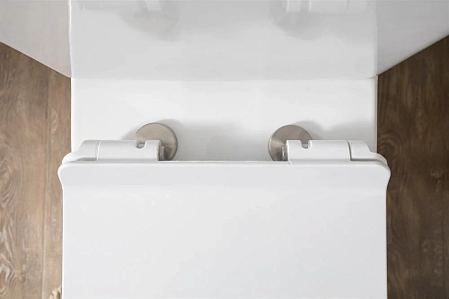 Чаша напольного унитаза Aquanet Rimless Nova-C1 BL-101N-TPT-A NOVA-C1 с сиденьем Чаша напольного унитаза Aquanet Rimless Nova-C1 BL-101N-TPT-A NOVA-C1 с сиденьем