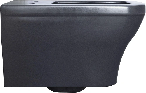 Унитаз подвесной Allen Brau Infinity 4.21011.AN с крышкой, антрацит Унитаз подвесной Allen Brau Infinity 4.21011.AN с крышкой, антрацит