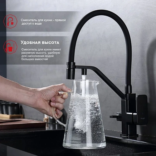 Смеситель для кухни Raglo R85.62.06 с гибким изливом с подключением к фильтру, черный Смеситель для кухни Raglo R85.62.06 с гибким изливом с подключением к фильтру, черный
