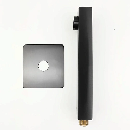 Душевой лоток Paini Klasik CH550KN 550 мм Душевой лоток Paini Klasik CH550KN 550 мм