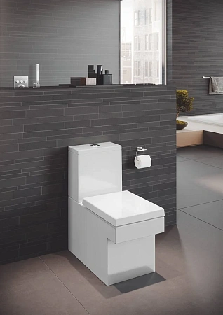 Крышка-сиденье GROHE Cube Ceramic, быстросъемное с микролифтом, альпин-белый (39488000) Крышка-сиденье GROHE Cube Ceramic, быстросъемное с микролифтом, альпин-белый (39488000)