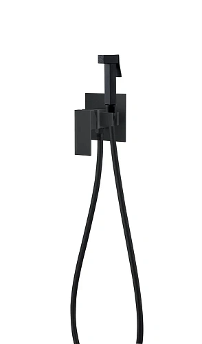 Гигиенический душ D&K Bayern Liszt (DA1514505) встраиваемый Гигиенический душ D&K Bayern Liszt (DA1514505) встраиваемый