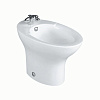 Картинка анонса товара «биде напольное jacob delafon presquile e1348-00»