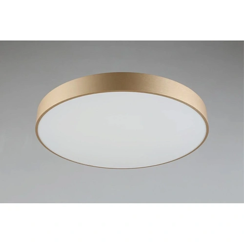 Светильник настенно-потолочный Aployt Virzhini APL.023.07.68 Светильник настенно-потолочный Aployt Virzhini APL.023.07.68