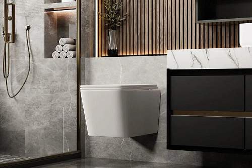 Унитаз подвесной ABBER Rechteck AC1201MW белый матовый, безободковый с крышкой микролифт Унитаз подвесной ABBER Rechteck AC1201MW белый матовый, безободковый с крышкой микролифт