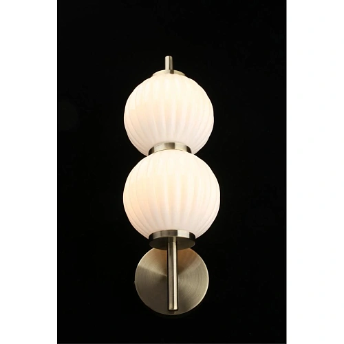 Светильник настенный (Бра) Aployt Zhizel APL.608.01.02 Светильник настенный (Бра) Aployt Zhizel APL.608.01.02