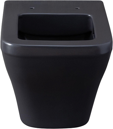 Унитаз подвесной Allen Brau Infinity 4.21011.AN с крышкой, антрацит