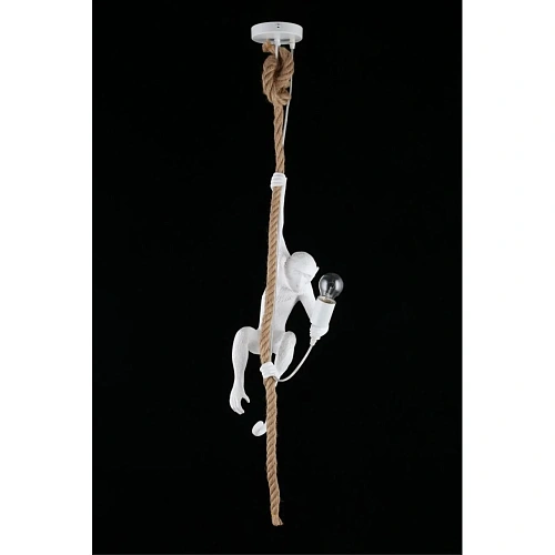 Светильник подвесной Aployt Magali APL.309.06.01 Светильник подвесной Aployt Magali APL.309.06.01