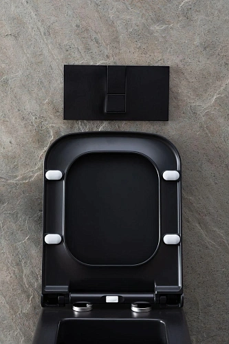 Унитаз подвесной Allen Brau Infinity 4.21011.31 с крышкой, черный матовый Унитаз подвесной Allen Brau Infinity 4.21011.31 с крышкой, черный матовый