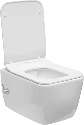 Унитаз подвесной Allen Brau Liberty 4.33009.20 с крышкой, белый Унитаз подвесной Allen Brau Liberty 4.33009.20 с крышкой, белый