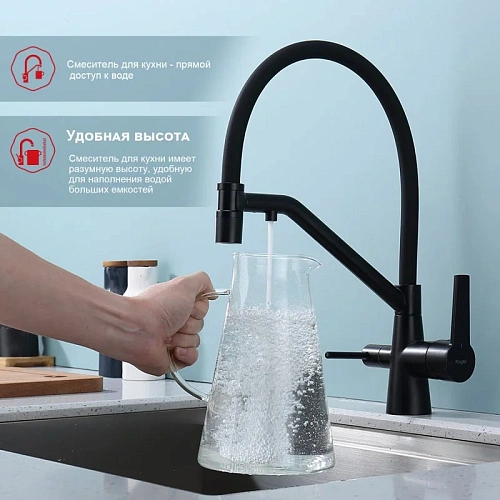 Смеситель для кухни Raglo R80.62.06 с гибким изливом с подключением к фильтру, черный Смеситель для кухни Raglo R80.62.06 с гибким изливом с подключением к фильтру, черный
