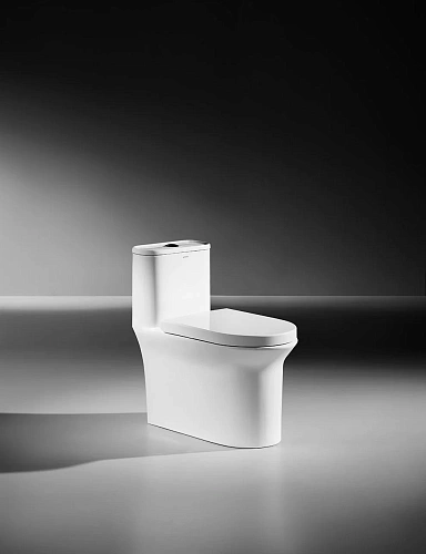 Унитаз напольный ARROW AB1802H белый без сиденья Унитаз напольный ARROW AB1802H белый без сиденья