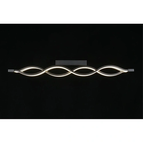 Светильник настенно-потолочный Aployt Nadayn APL.002.17.72 Светильник настенно-потолочный Aployt Nadayn APL.002.17.72