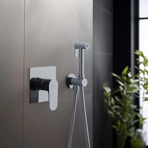 Гигиенический душ Aquatek ОБЕРОН AQ1219CR Хром, встраиваемый Гигиенический душ Aquatek ОБЕРОН AQ1219CR Хром, встраиваемый