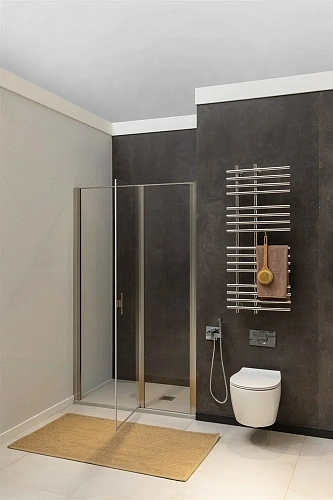 Душевая дверь Allen Brau Priority 100 серебро браш 3.31005.BA Душевая дверь Allen Brau Priority 100 серебро браш 3.31005.BA