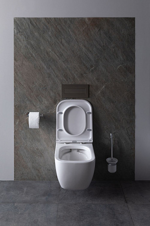 Унитаз подвесной Allen Brau Infinity 4.21004.20 с крышкой, белый глянец