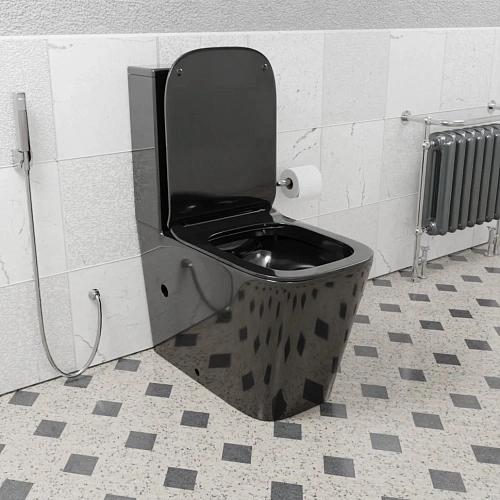 Унитаз напольный CeramaLux NS-2170-18 черный с крышкой микролифт Унитаз напольный CeramaLux NS-2170-18 черный с крышкой микролифт