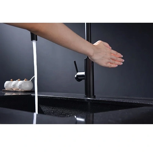 Смеситель для кухни Paulmark Senso антрацит Se215180-AN Смеситель для кухни Paulmark Senso антрацит Se215180-AN