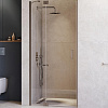 Картинка анонса товара «душевая дверь rgw hotel ho-014gr 1000 мм easy clean серый 350601410-110»