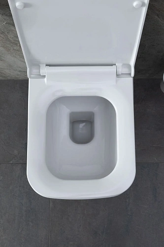 Комплект унитаза Allen Brau Infinity 4.21011.20/8.9466.0.000.000.1 (00316506) с инсталляцией, белый глянец Комплект унитаза Allen Brau Infinity 4.21011.20/8.9466.0.000.000.1 (00316506) с инсталляцией, белый глянец