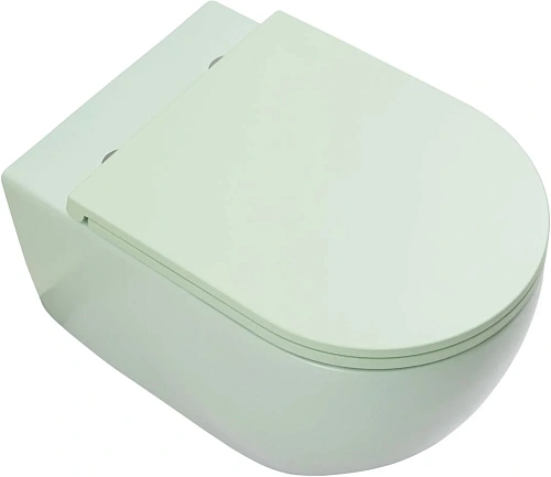 Унитаз подвесной Allen Brau Reality 4.32015.MT сиденье с микролифт мятный Унитаз подвесной Allen Brau Reality 4.32015.MT сиденье с микролифт мятный