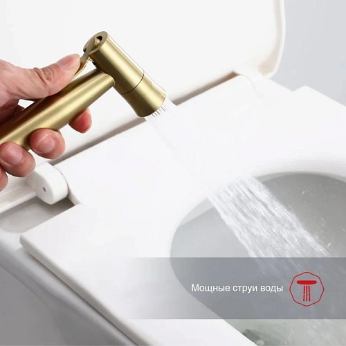 Гигиенический душ Raglo R10.52.03 встраиваемый, сатин золотой Гигиенический душ Raglo R10.52.03 встраиваемый, сатин золотой