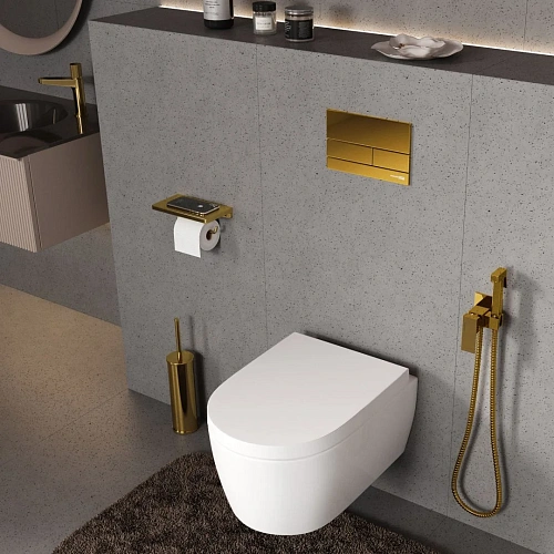 Клавиша смыва WasserKRAFT PG04 глянцевое золото с клавишей смыва глянцевое золото Клавиша смыва WasserKRAFT PG04 глянцевое золото с клавишей смыва глянцевое золото