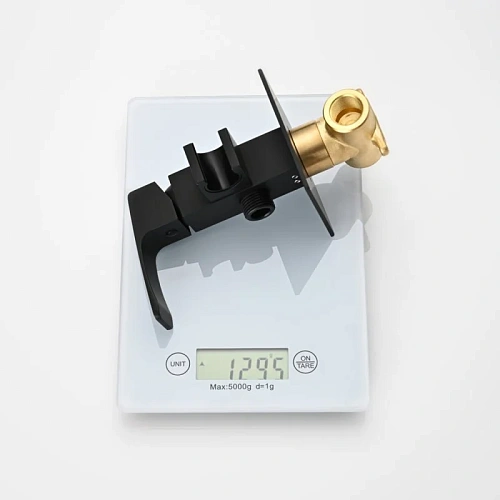 Гигиенический душ Raglo R01.52.06 встраиваемый, черный Гигиенический душ Raglo R01.52.06 встраиваемый, черный