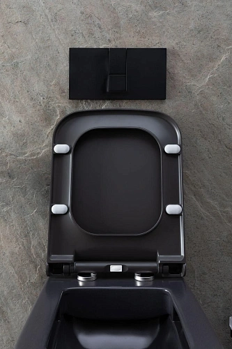 Унитаз подвесной Allen Brau Infinity 4.21011.AN с крышкой, антрацит Унитаз подвесной Allen Brau Infinity 4.21011.AN с крышкой, антрацит