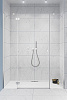 Картинка анонса товара «душевая дверь radaway torrenta dwjs 812 l 320812-01-01l»