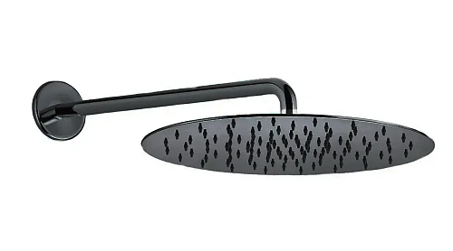 Верхний душ Webert AC0841560, черный Верхний душ Webert AC0841560, черный