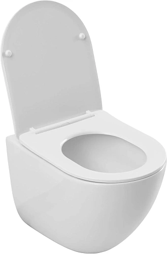 Комплект унитаза Allen Brau Priority 306274+348381 с инсталляцией Комплект унитаза Allen Brau Priority 306274+348381 с инсталляцией