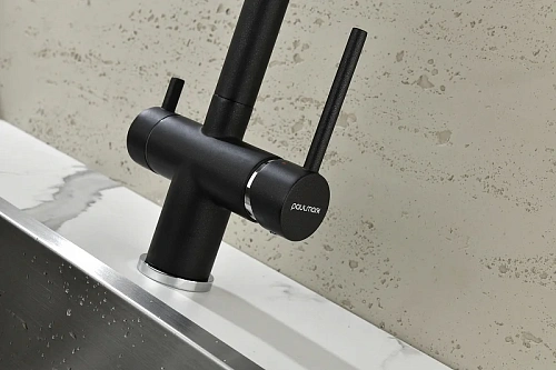 Смеситель для кухни Paulmark SERPENTINE черный Se213222-BLM Смеситель для кухни Paulmark SERPENTINE черный Se213222-BLM