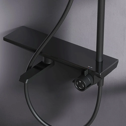 Душевая система AM.PM Gem F0790722 верхний душ 220мм черный Душевая система AM.PM Gem F0790722 верхний душ 220мм черный