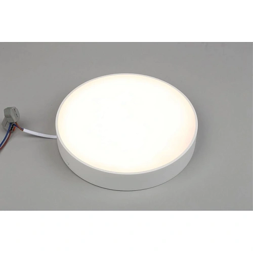 Светильник настенно-потолочный Aployt Evon APL.0113.09.24 Светильник настенно-потолочный Aployt Evon APL.0113.09.24