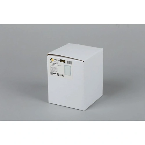 Светильник встраиваемый-накладной Omnilux Cariano OML-101209-01 Светильник встраиваемый-накладной Omnilux Cariano OML-101209-01