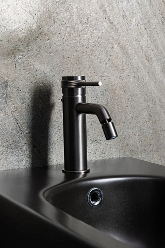 Смеситель для биде Allen Brau Priority 5.31A04-MG (с донным клапаном) графит брашированный Смеситель для биде Allen Brau Priority 5.31A04-MG (с донным клапаном) графит брашированный