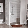 Душевая дверь WasserKRAFT Neime 19P04 белый Душевая дверь WasserKRAFT Neime 19P04 белый