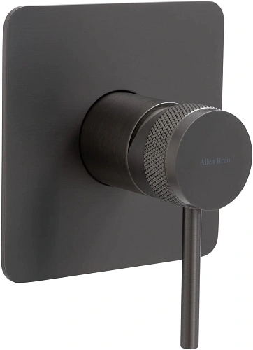 Смеситель для душа Allen Brau Priority 5.31012-MG (с внутренней частью, 1 выход) графит брашированный Смеситель для душа Allen Brau Priority 5.31012-MG (с внутренней частью, 1 выход) графит брашированный