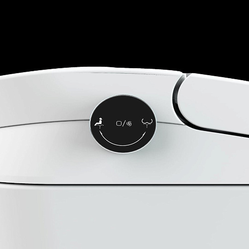 Унитаз SMART СмартЖум N20-Pro TOILETBIDETN20PRO с сиденьем Унитаз SMART СмартЖум N20-Pro TOILETBIDETN20PRO с сиденьем