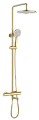 Душевая система Raglo R20.26.03, золотой сатин Душевая система Raglo R20.26.03, золотой сатин