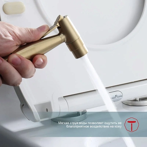 Гигиенический душ Raglo R20.52.03 встраиваемый, золотой сатин Гигиенический душ Raglo R20.52.03 встраиваемый, золотой сатин