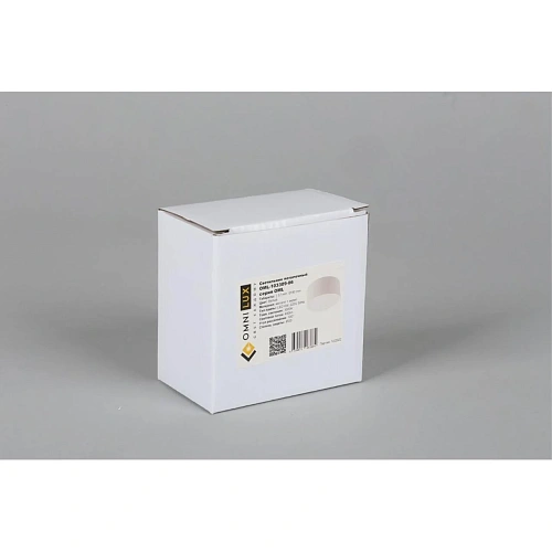 Светильник встраиваемый-накладной Omnilux Abano OML-103309-06 Светильник встраиваемый-накладной Omnilux Abano OML-103309-06