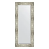 Зеркало в багетной раме Evoform Exclusive BY 1160 56 x 136 см, алюминий Зеркало в багетной раме Evoform Exclusive BY 1160 56 x 136 см, алюминий