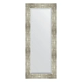 Зеркало в багетной раме Evoform Exclusive BY 1160 56 x 136 см, алюминий Зеркало в багетной раме Evoform Exclusive BY 1160 56 x 136 см, алюминий