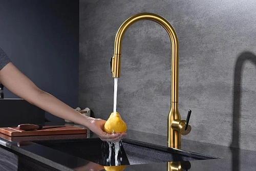 Смеситель для кухни Paulmark Universal брашированное золото Un213880-BG Смеситель для кухни Paulmark Universal брашированное золото Un213880-BG