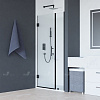 Картинка анонса товара «душевая дверь rgw hotel ho-012b 1200 мм easy clean черный 350601212-14»